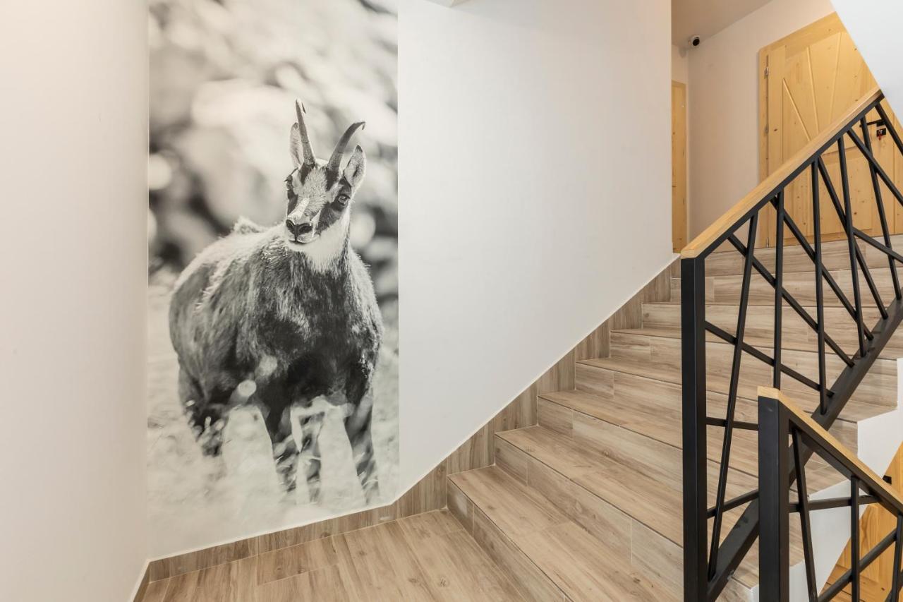 Tatrytop Apartamenty Alpejski Spa コシチェリスコ エクステリア 写真