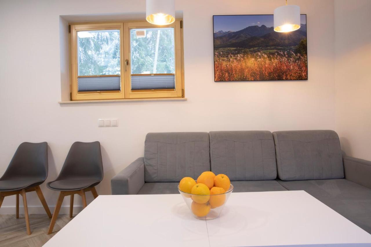 Tatrytop Apartamenty Alpejski Spa コシチェリスコ エクステリア 写真